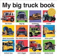 My big truck book: board book Book cover