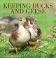 Go to record Keeping ducks and geese