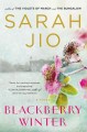 Go to record Blackberry winter : a novel