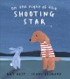 Go to record On the night of the shooting star