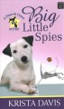 Go to record Big little spies