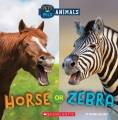 Go to record Horse or zebra