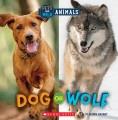 Go to record Dog or wolf