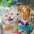 Go to record Cat or tiger