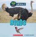 Go to record Birds