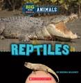 Go to record Reptiles