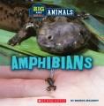 Go to record Amphibians