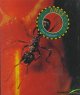 Go to record Ants