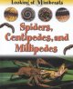 Go to record Spiders and centipedes