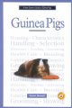Go to record A new owner's guide to guinea pigs