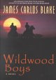 Go to record Wildwood boys : a novel