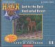 Go to record Lost in the dark unchanted forest