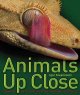 Go to record Animals up close