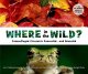 Go to record Where in the wild? : camouflaged creatures concealed-- and...